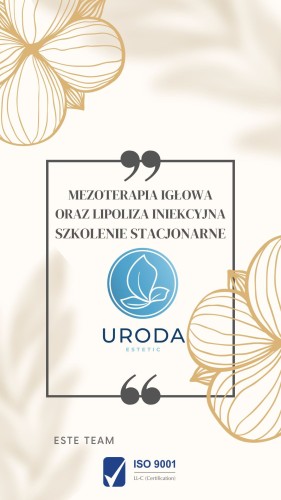 MEZOTERAPIA IGŁOWA (1).jpg